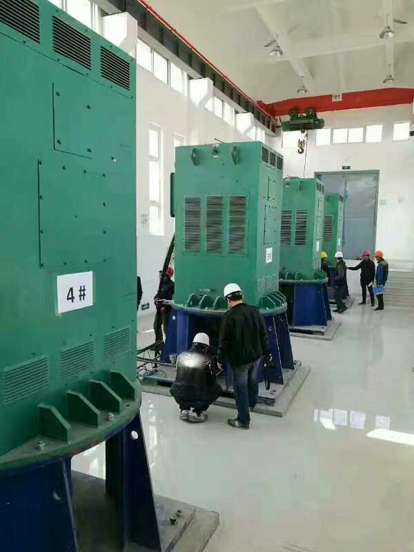 YJTFKK某污水处理厂使用我厂的立式高压电机安装现场